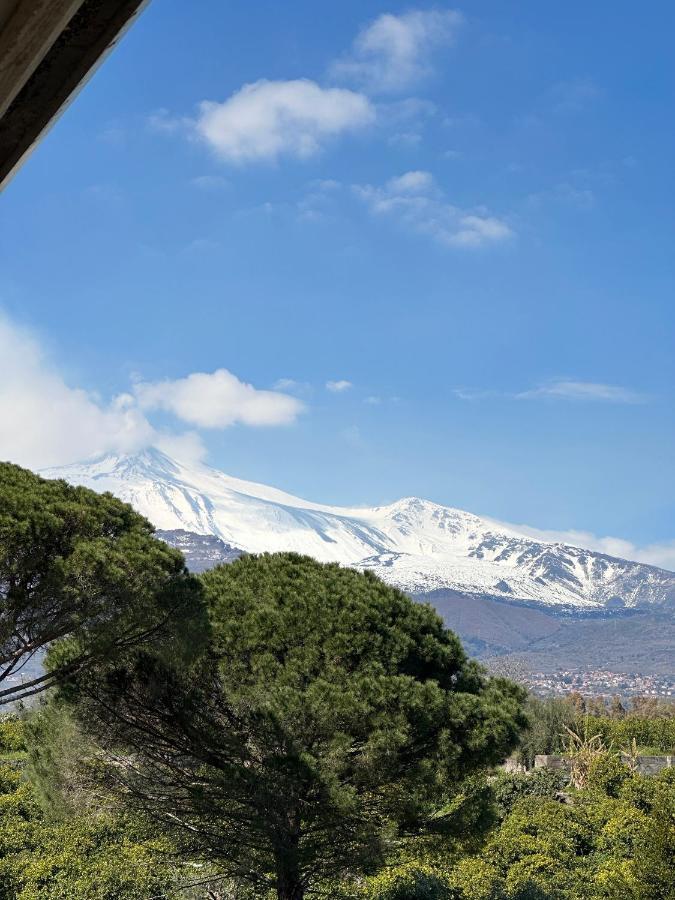 La Pigna Delle Aci Apartment 阿奇雷亚莱 外观 照片