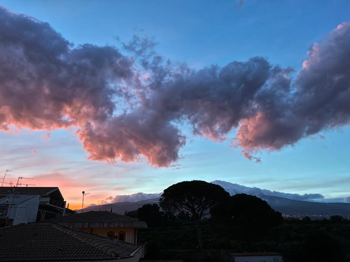 La Pigna Delle Aci Apartment 阿奇雷亚莱 外观 照片